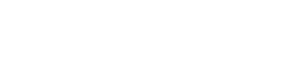 Honest Hearts Photo + Film